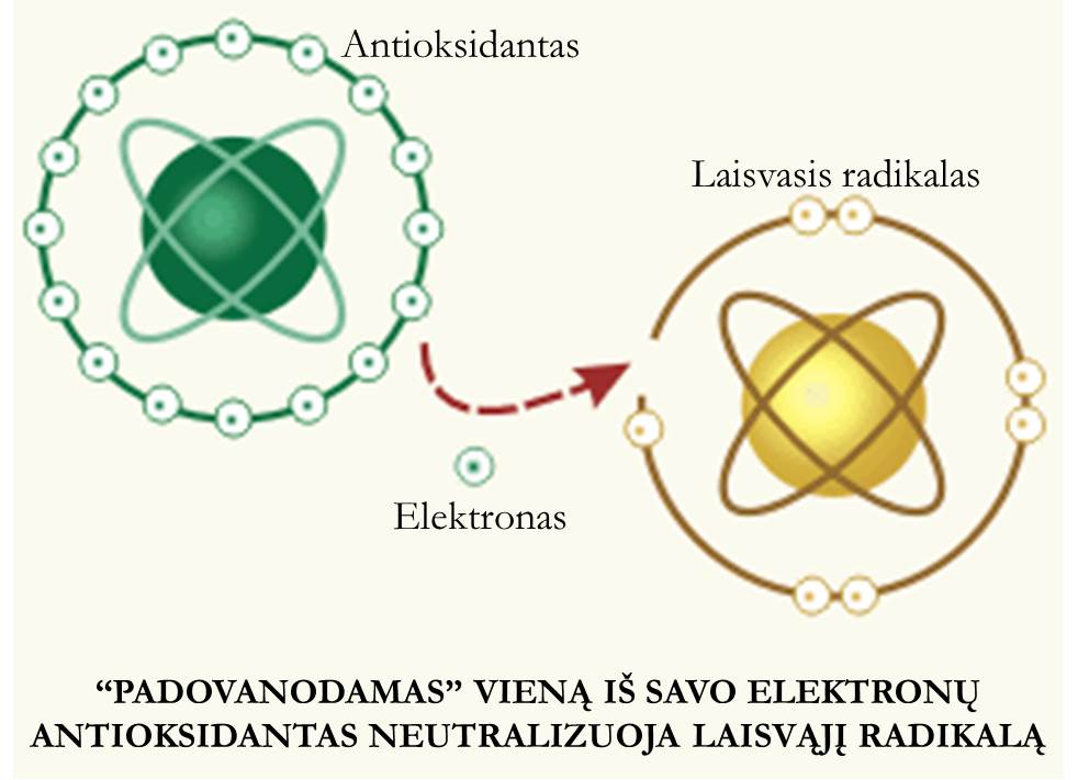 Elektronas Laisv_radikalas